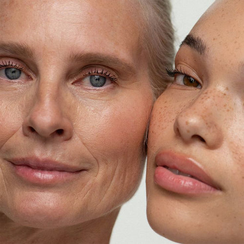 Seoul 1988 Black Ginseng Retinol Renewal Serum